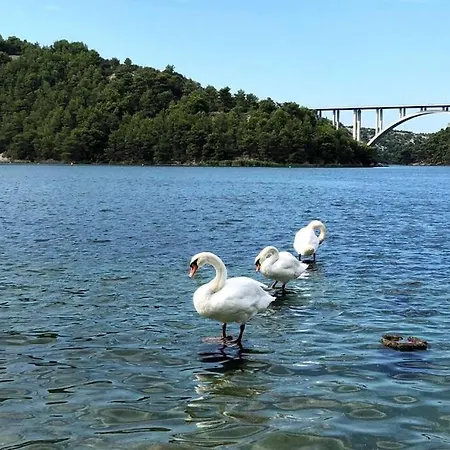 Apartment Family House Scardona - Dreams By The River Krka